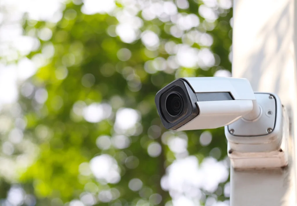 An Honest Reolink Home Camera Review: A Pro’s Perspective