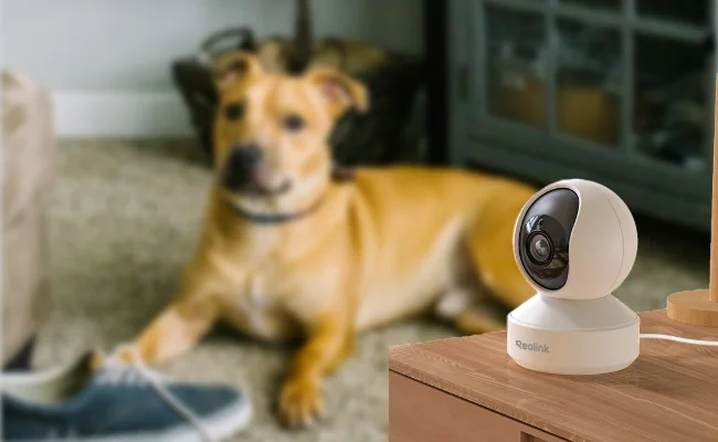 The Ultimate Guide to a Home Camera for Pet Monitoring